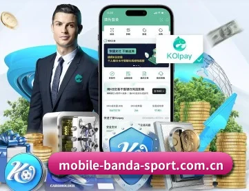 半岛综合 APP 深度功能